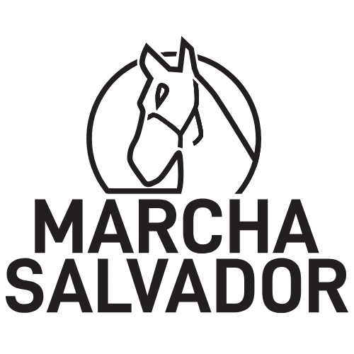 https://www.naturalsolutionsbrasil.com/wp-content/uploads/2025/06/LOGOS-E-FOTOS-2.png
