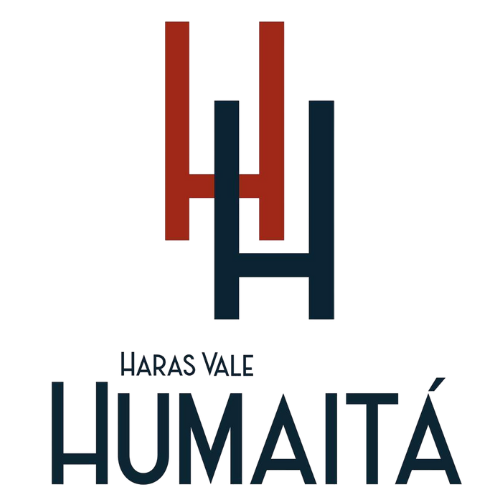 https://www.naturalsolutionsbrasil.com/wp-content/uploads/2025/06/logo-haras-humaita.png