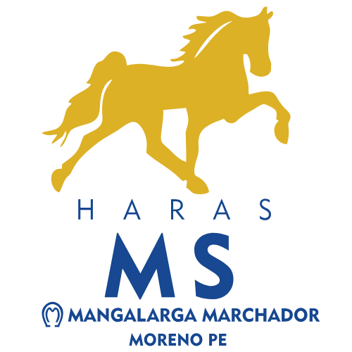 Haras MS
